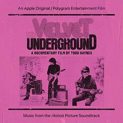 Foto van The velvet underground: a documentary film by todd - lp (0602438614462)
