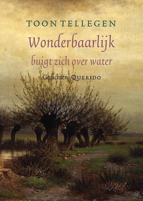 Foto van Wonderbaarlijk buigt zich over water - toon tellegen - ebook (9789021403571)