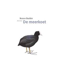 Foto van De meerkoet - de vogelserie