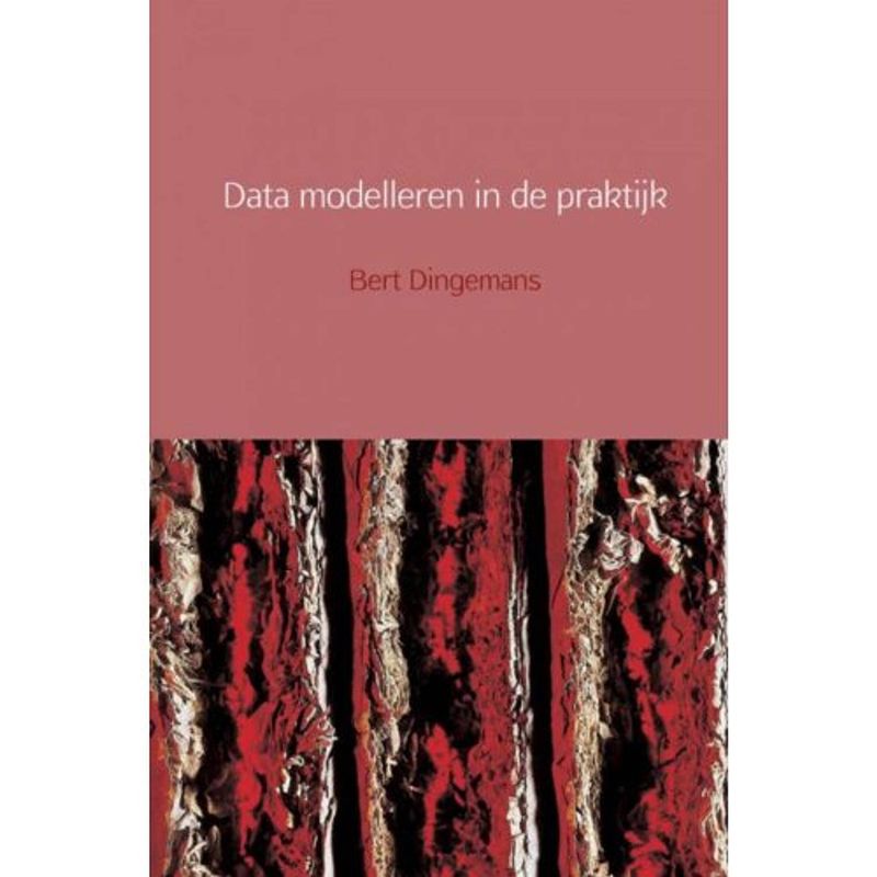 Foto van Data modelleren in de praktijk