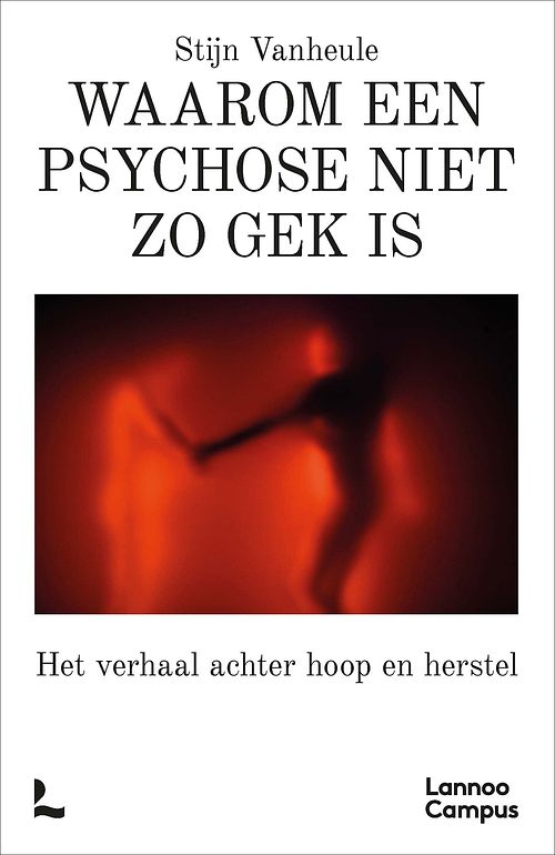 Foto van Waarom een psychose niet zo gek is - stijn vanheule - ebook (9789401485838)