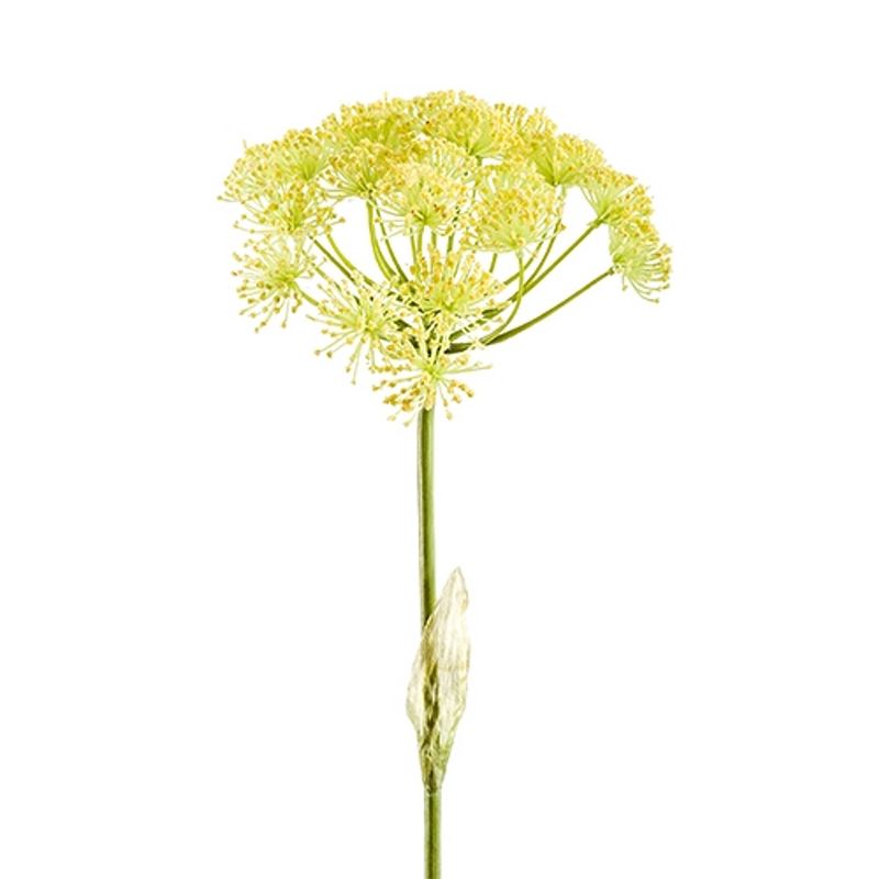 Foto van Heracleum branch x1 yellow 78 cm