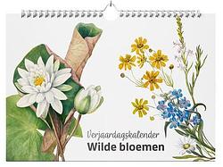 Foto van Verjaardagskalender wilde bloemen - studio colori - paperback (9789492598646)