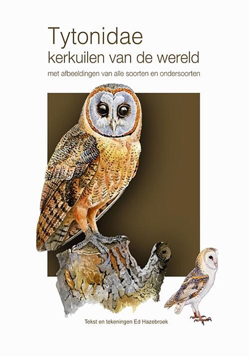 Foto van Tytonidae - kerkuilen van de wereld - ed hazebroek - ebook (9789492723901)