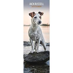 Foto van Jack russell terrier kalender 2023 slimline