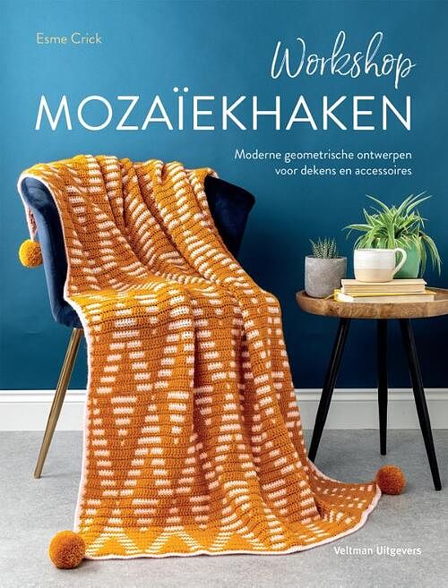 Foto van Workshop mozaïekhaken - esme crick - paperback (9789048320431)