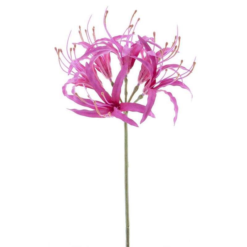 Foto van Nerine spray beauty 90 cm kunstbloemen