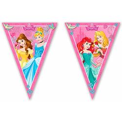 Foto van Procos vlaggenlijn disney princess junior 2,3 meter roze