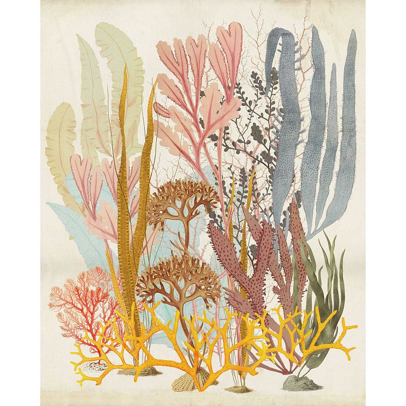 Foto van Fotobehang - catchy corals 200x250cm - vliesbehang