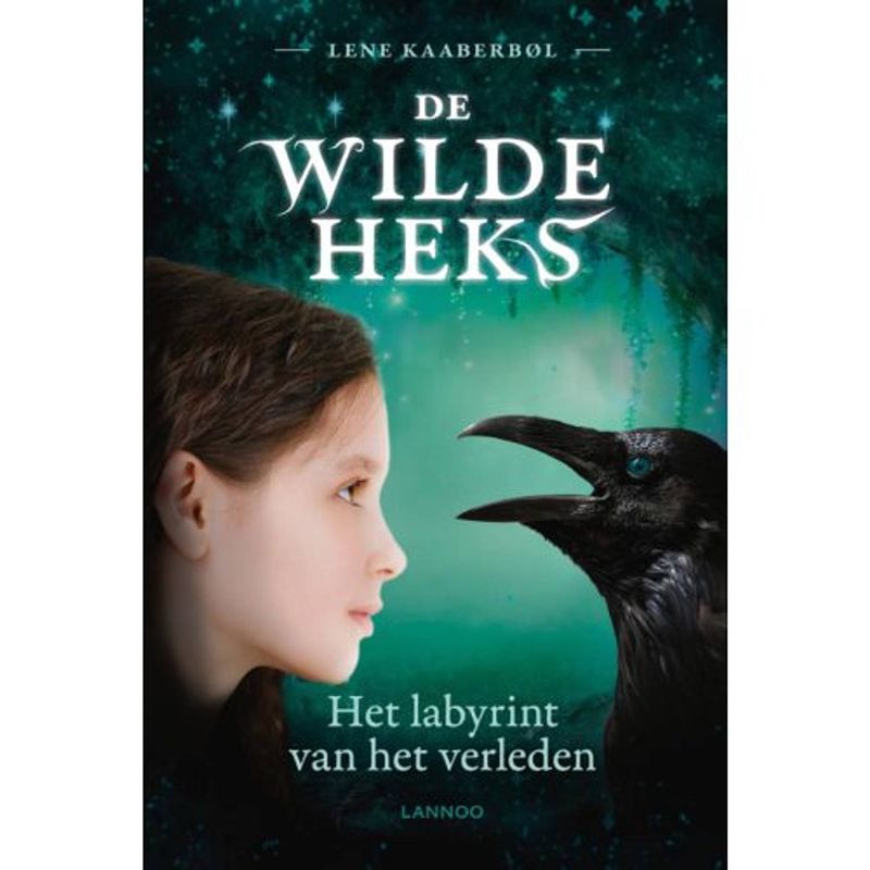 Foto van Het labyrint van het verleden - de wilde heks