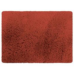 Foto van Msv badkamerkleedje/badmat tapijt - voor de vloer - terracotta - 50 x 70 cm - langharig - badmatjes