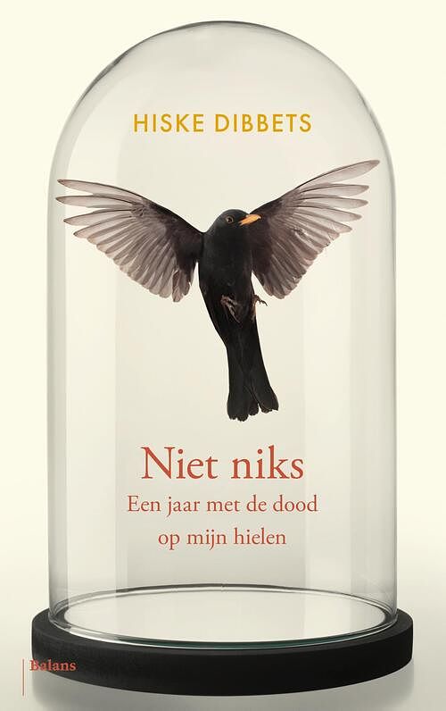 Foto van Niet niks - hiske dibbets - ebook (9789463823029)