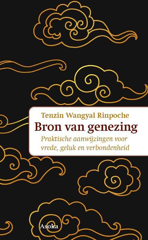 Foto van De ware bron van heling - tenzin wangyal rinpoche - paperback (9789056704322)