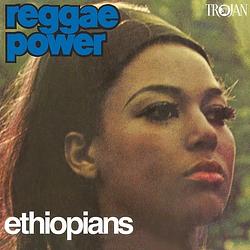 Foto van Reggae power - lp (8719262027848)