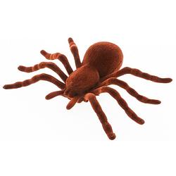 Foto van Chaks nep spin 18 cm - bruin - velvet/fluweel tarantula -a horror/griezel thema decoratie beestjes - feestdecoratievoorw