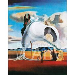 Foto van Salvador dali - vestiges ataviques kunstdruk 60x80cm