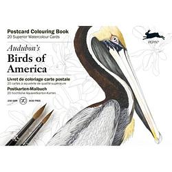 Foto van Audubon's birds of america - postcard coloring