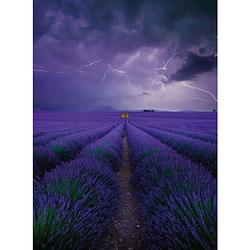 Foto van Wizard+genius field of lavender vlies fotobehang 192x260cm 4-banen