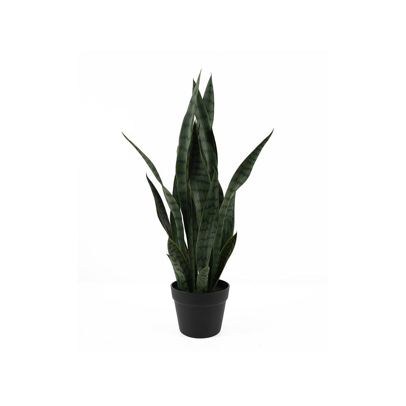 Foto van Present time - kunstplant sansevieria - donkergroen