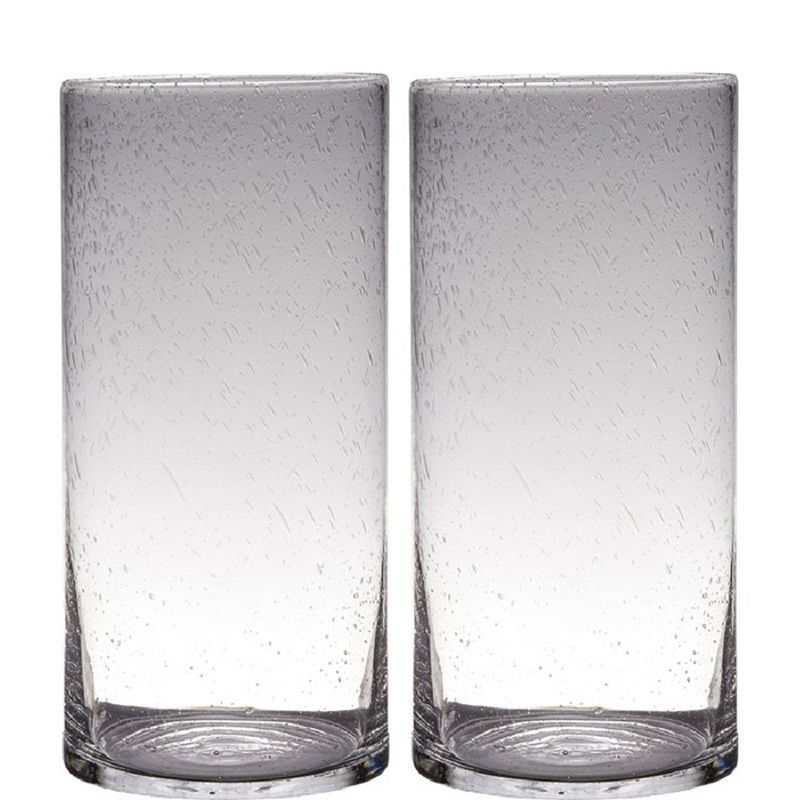 Foto van Set van 2x stuks transparante home-basics cylinder vorm vaas/vazen van bubbel glas 40 x 19 cm - vazen