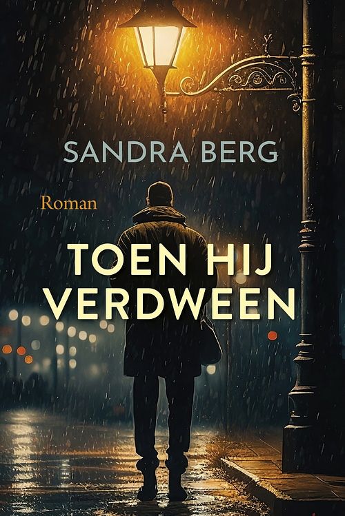 Foto van Toen hij verdween - sandra berg - ebook