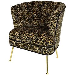 Foto van Fauteuil hear me roar