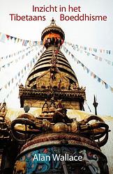 Foto van Inzicht in het tibetaans boeddhisme - alan wallace, steven van wilhelm - ebook