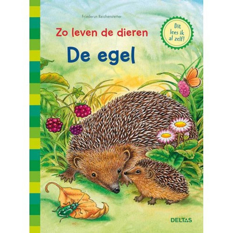 Foto van De egel - zo leven de dieren