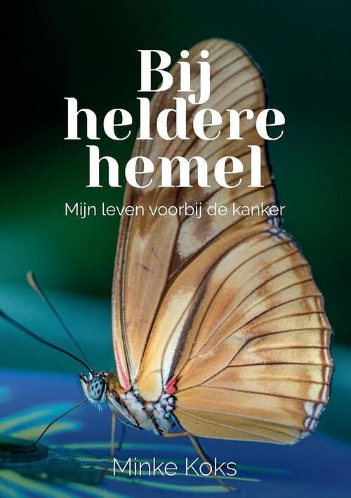 Foto van Bij heldere hemel - minke koks - paperback (9789464066067)