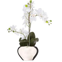 Foto van Atmosphera orchidee bloem kunstplant - wit - h56 x b40 cm - in zilveren pot - kunstplanten