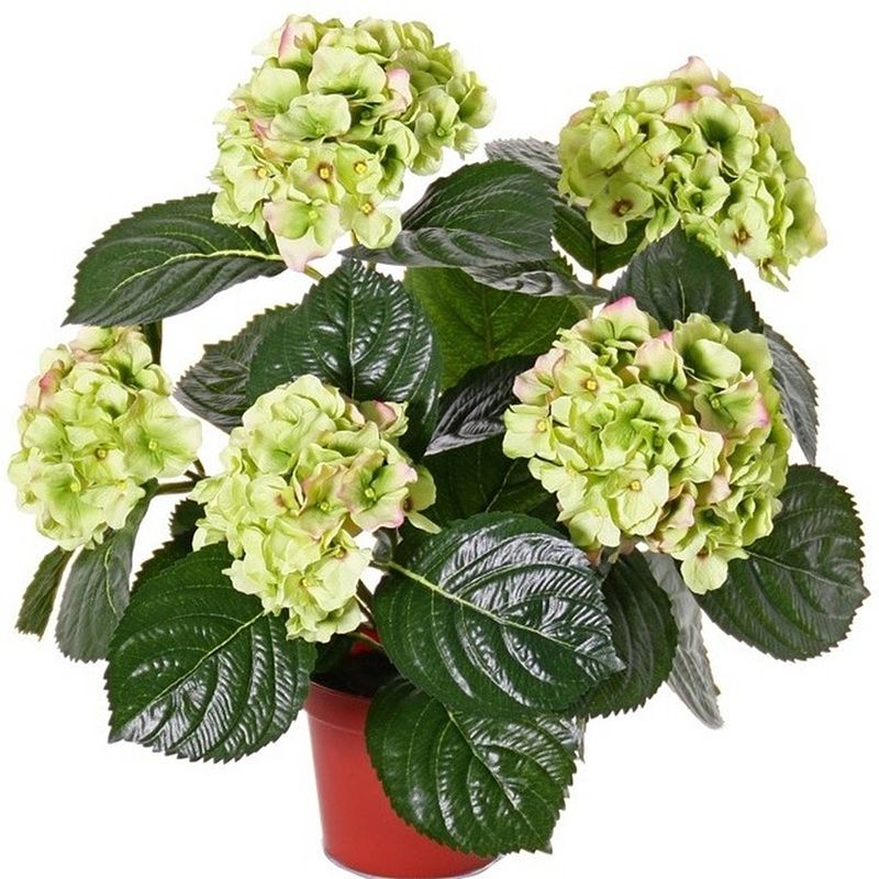 Foto van Kunstplant hortensia plant groen/roze 36 cm - kunstplanten