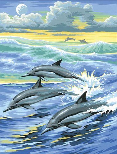 Foto van Schilderen op nummer dolfijn