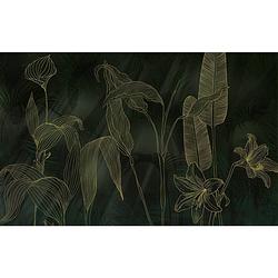 Foto van Fotobehang - darkest green 400x250cm - vliesbehang