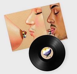 Foto van Gay dreams do come true - 12 inch vinyl;12 inch vinyl (5060236636515)