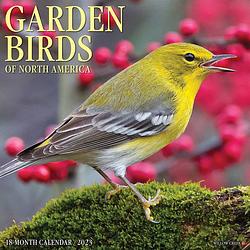 Foto van Garden birds kalender 2023