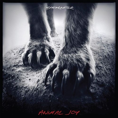 Foto van Animal joy - cd (0098787095722)