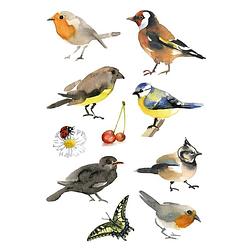 Foto van 30x vogels dieren stickers - stickers