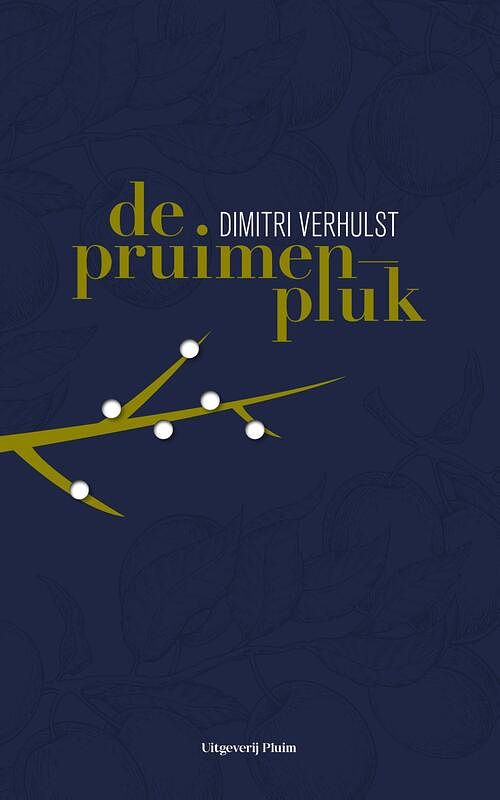 Foto van De pruimenpluk - dimitri verhulst - ebook (9789492928573)