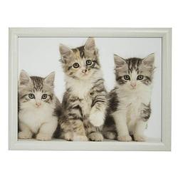 Foto van Laptray/schoottafel 3 kat/poes/kittens print 43 x 33 cm - dienbladen