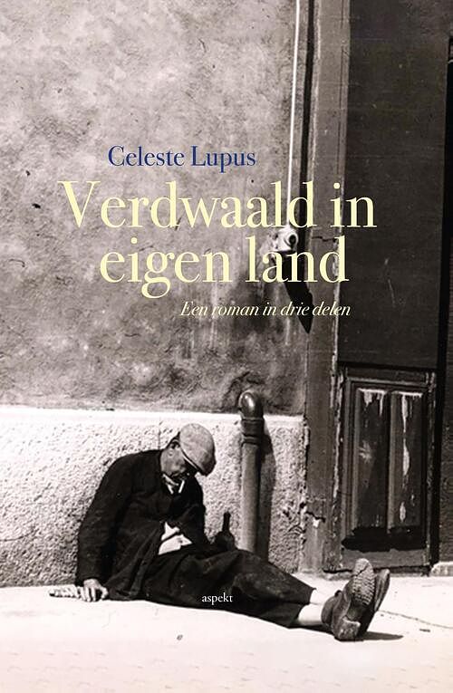 Foto van Verdwaald in eigen land - celeste lupus - ebook (9789464241754)