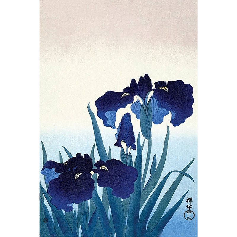 Foto van Pyramid ohara koson iris flowers poster 61x91,5cm