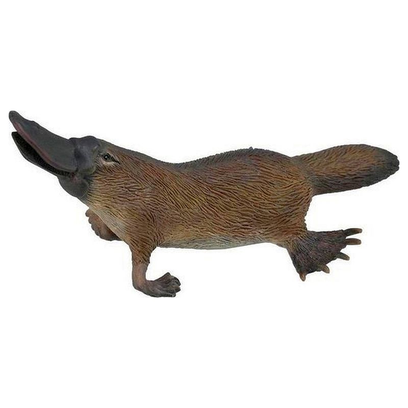 Foto van Collecta wilde dieren vogelbekdier 9 cm