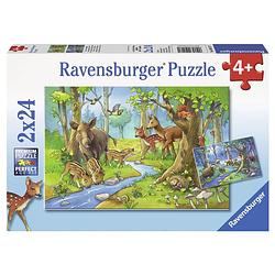 Foto van Ravensburger puzzelset dieren uit het bos - 2 x 24 stukjes