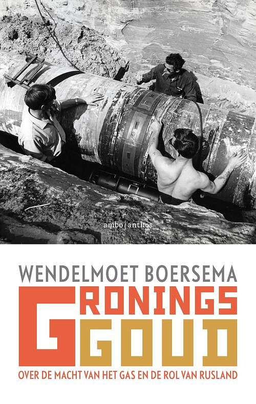 Foto van Gronings goud - wendelmoet boersema - ebook (9789026344664)