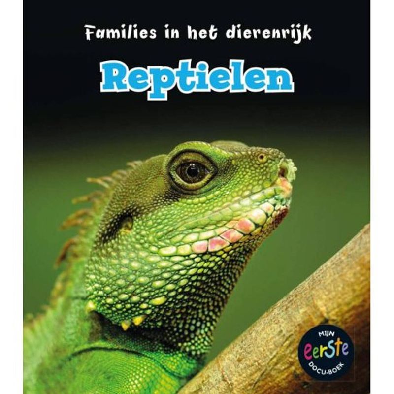 Foto van Reptielen - families in het dierenrijk