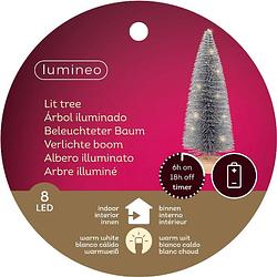 Foto van Lumineo - microled boom d8h20 cm zilver/wwt kerst