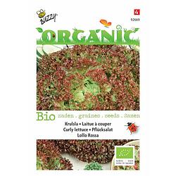 Foto van 5 stuks organic pluksla lollo rossa (skal 14275)