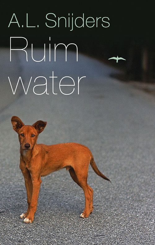 Foto van Ruim water - a.l. snijders - ebook (9789400403345)