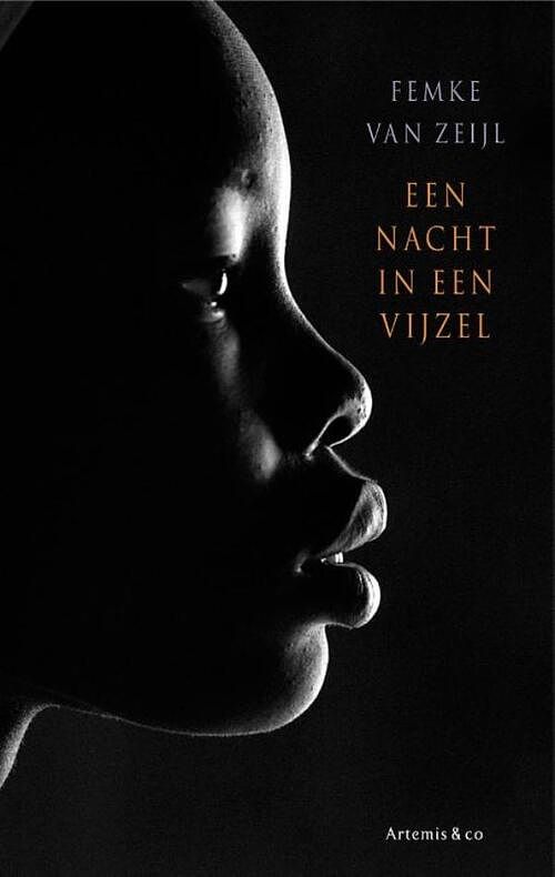 Foto van Een nacht in een vijzel - femke van zeijl - ebook (9789047203452)