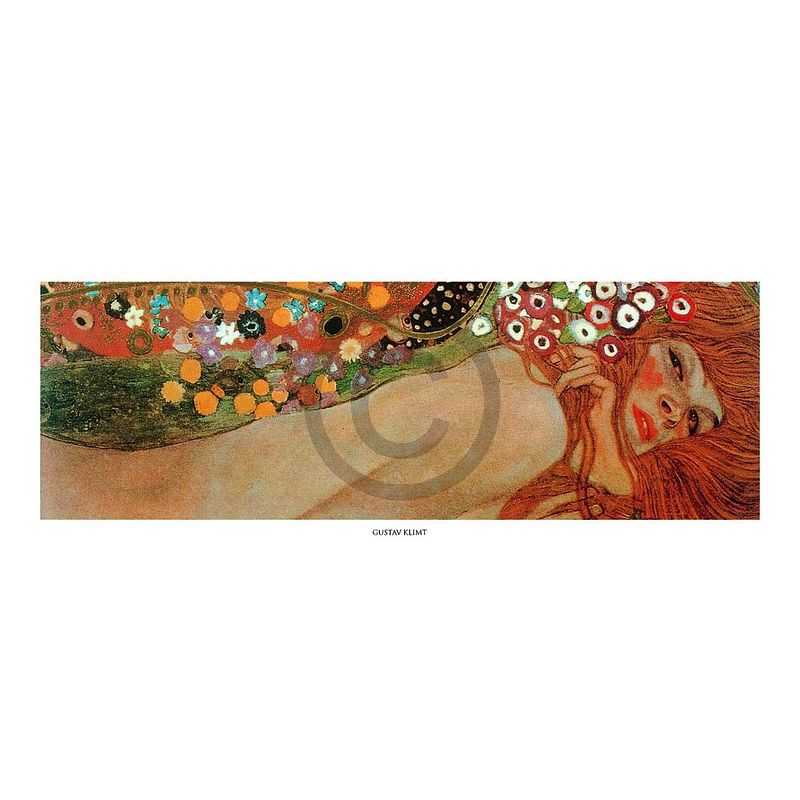 Foto van Gustav klimt - acqua mossa kunstdruk 50x20cm